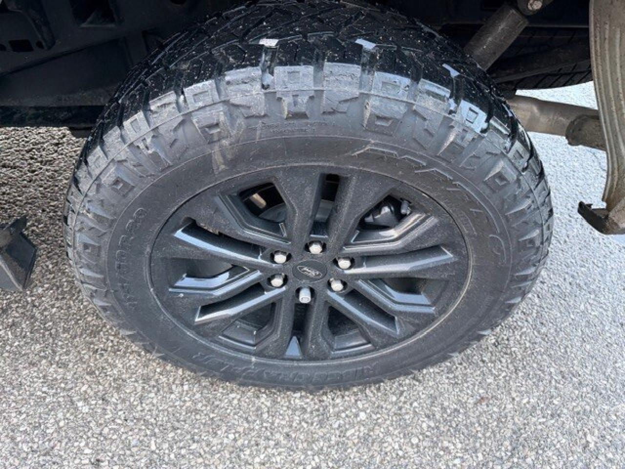 2024 Ford F-150 LEATHER ROOF SPORT APPEARANCE PKG 3.5 Ecoboost Photo