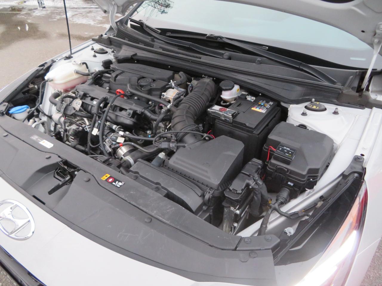 2023 Hyundai Elantra N Line Ultimate DCT Photo