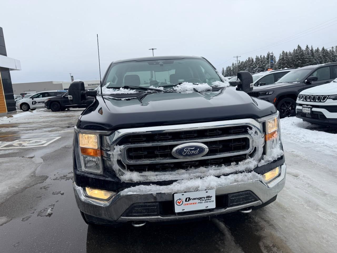 2021 Ford F-150 XLTXLT, 3.5L V6 ECOBOOST, 4X4, SuperCrew, 1-OWNER, Photo