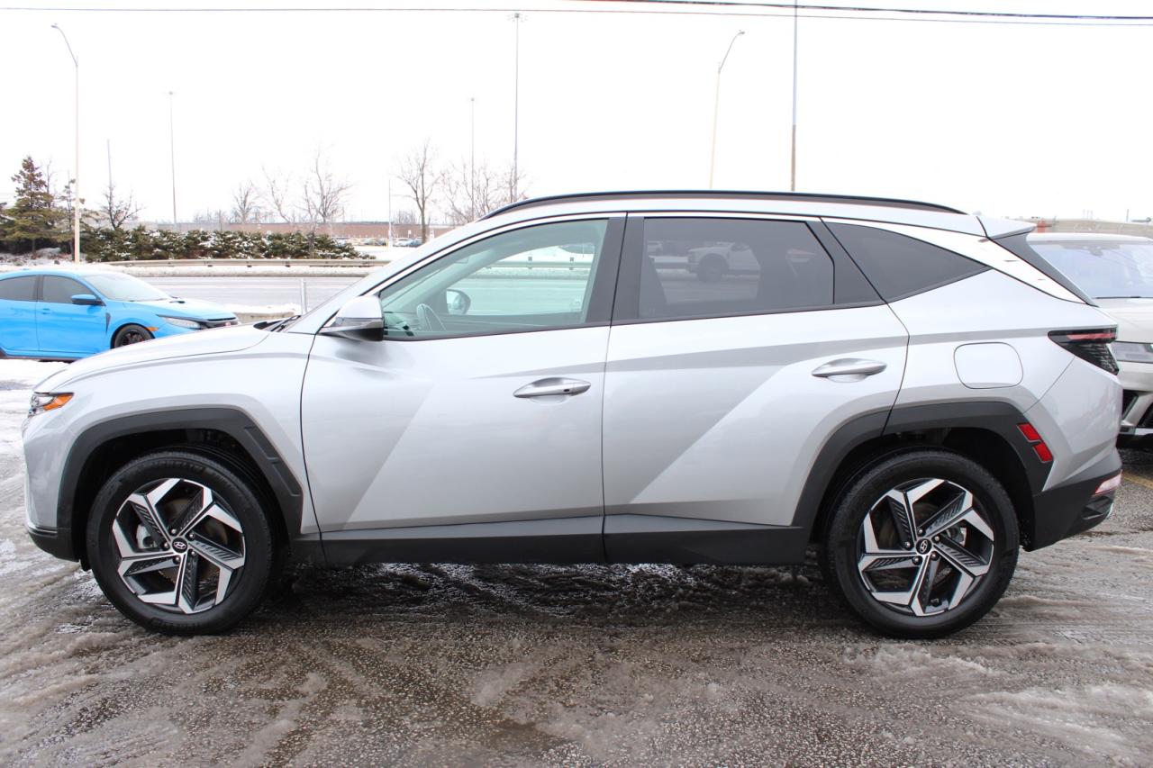 2023 Hyundai Tucson Hybrid Luxury AWD   No Accident   Clean Carfax   Moonroof Photo3