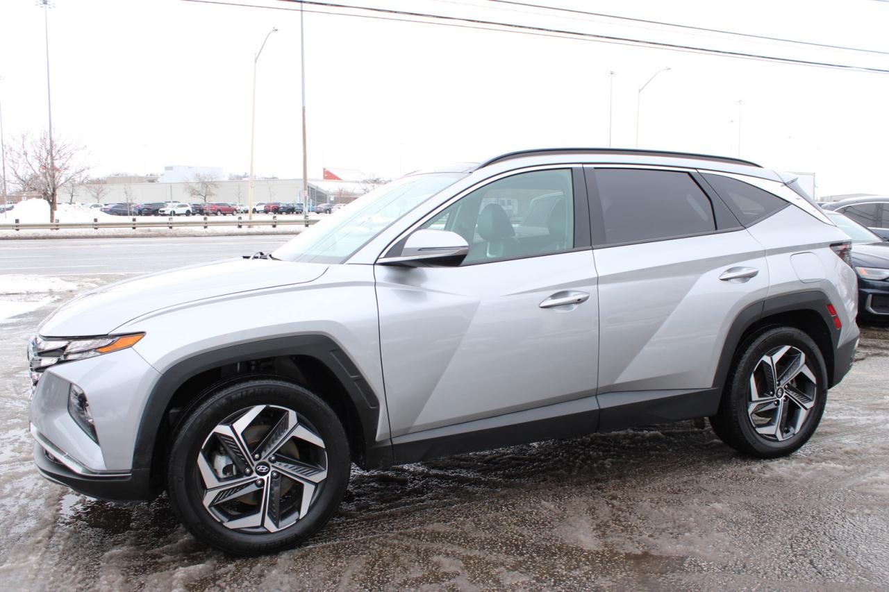 2023 Hyundai Tucson Hybrid Luxury AWD   No Accident   Clean Carfax   Moonroof Photo
