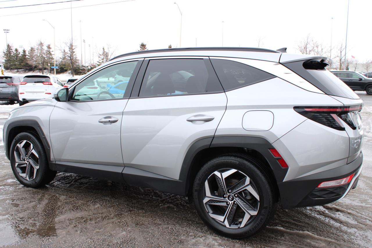 2023 Hyundai Tucson Hybrid Luxury AWD   No Accident   Clean Carfax   Moonroof Photo
