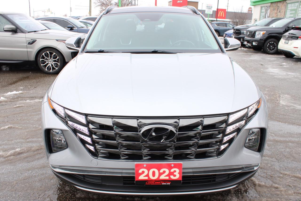 2023 Hyundai Tucson Hybrid Luxury AWD   No Accident   Clean Carfax   Moonroof Photo