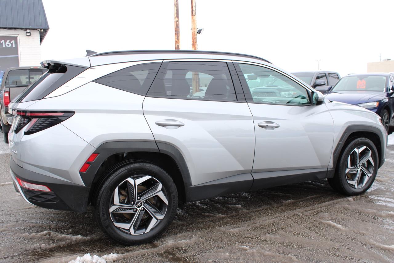 2023 Hyundai Tucson Hybrid Luxury AWD   No Accident   Clean Carfax   Moonroof Photo