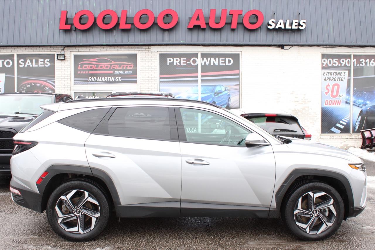 2023 Hyundai Tucson Hybrid Luxury AWD   No Accident   Clean Carfax   Moonroof Photo