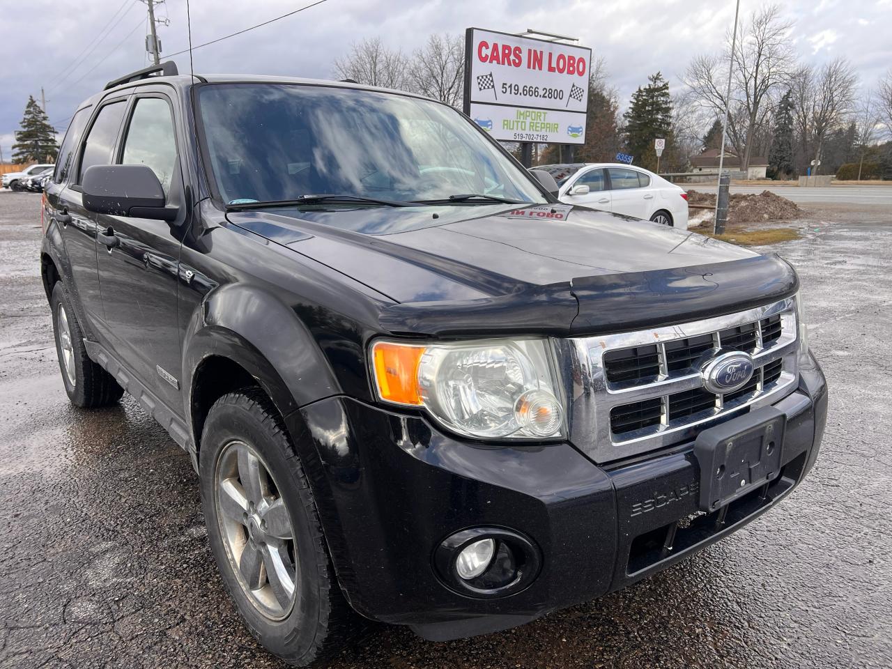 2008 Ford Escape XLT Photo0