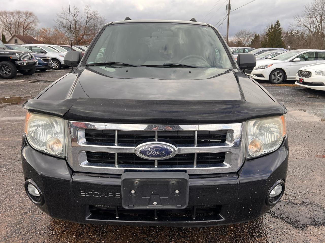 2008 Ford Escape XLT Photo