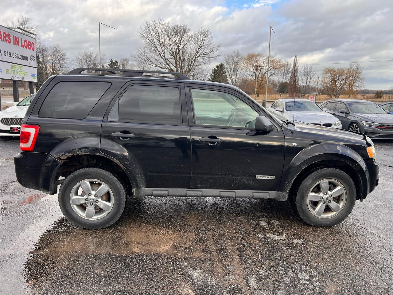 2008 Ford Escape XLT Photo