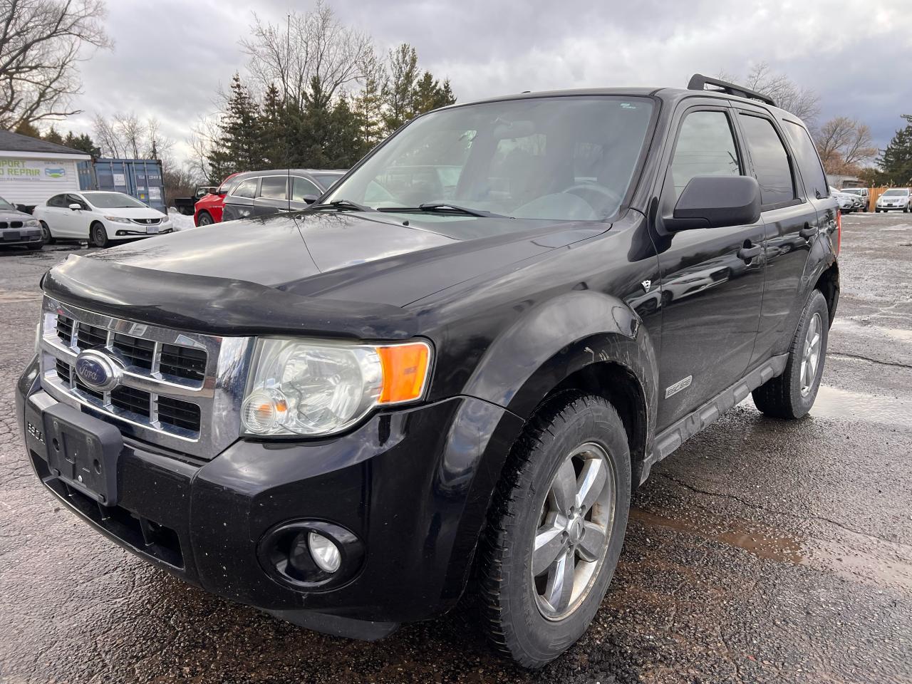 2008 Ford Escape XLT Photo