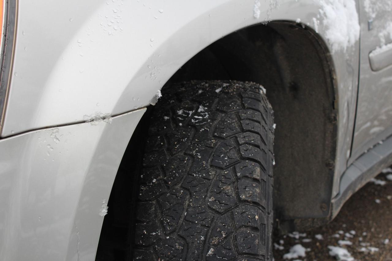 2008 Chevrolet Equinox LT Photo