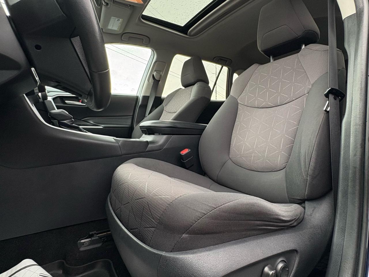 2019 Toyota RAV4 XLE Photo