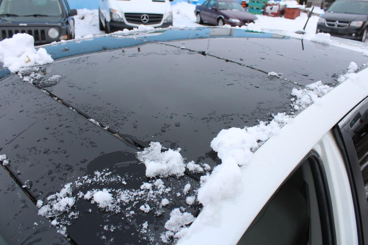 2011 Toyota Venza  Photo