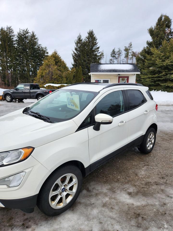 2018 Ford EcoSport SE 4WD Photo