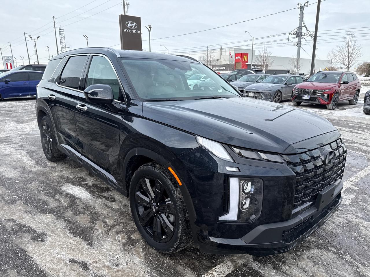 2023 Hyundai PALISADE Urban 8 Passenger Photo