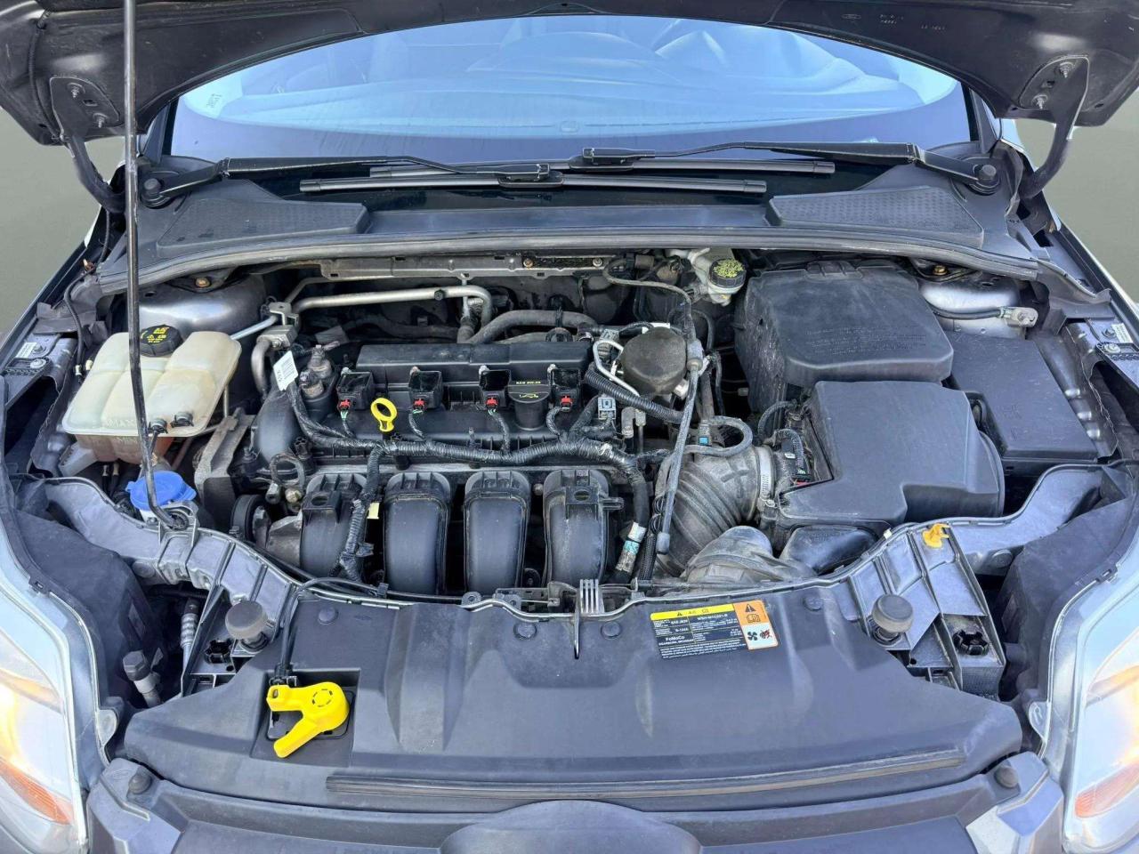 2014 Ford Focus 5DR HB SE Photo