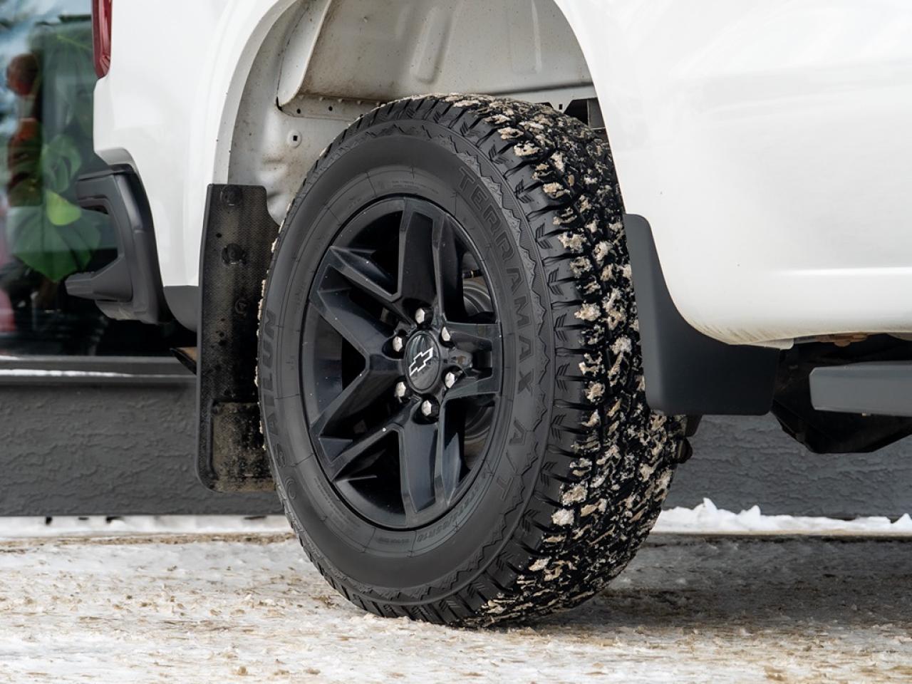 2022 Chevrolet Silverado 1500 4WD Crew Cab Photo25