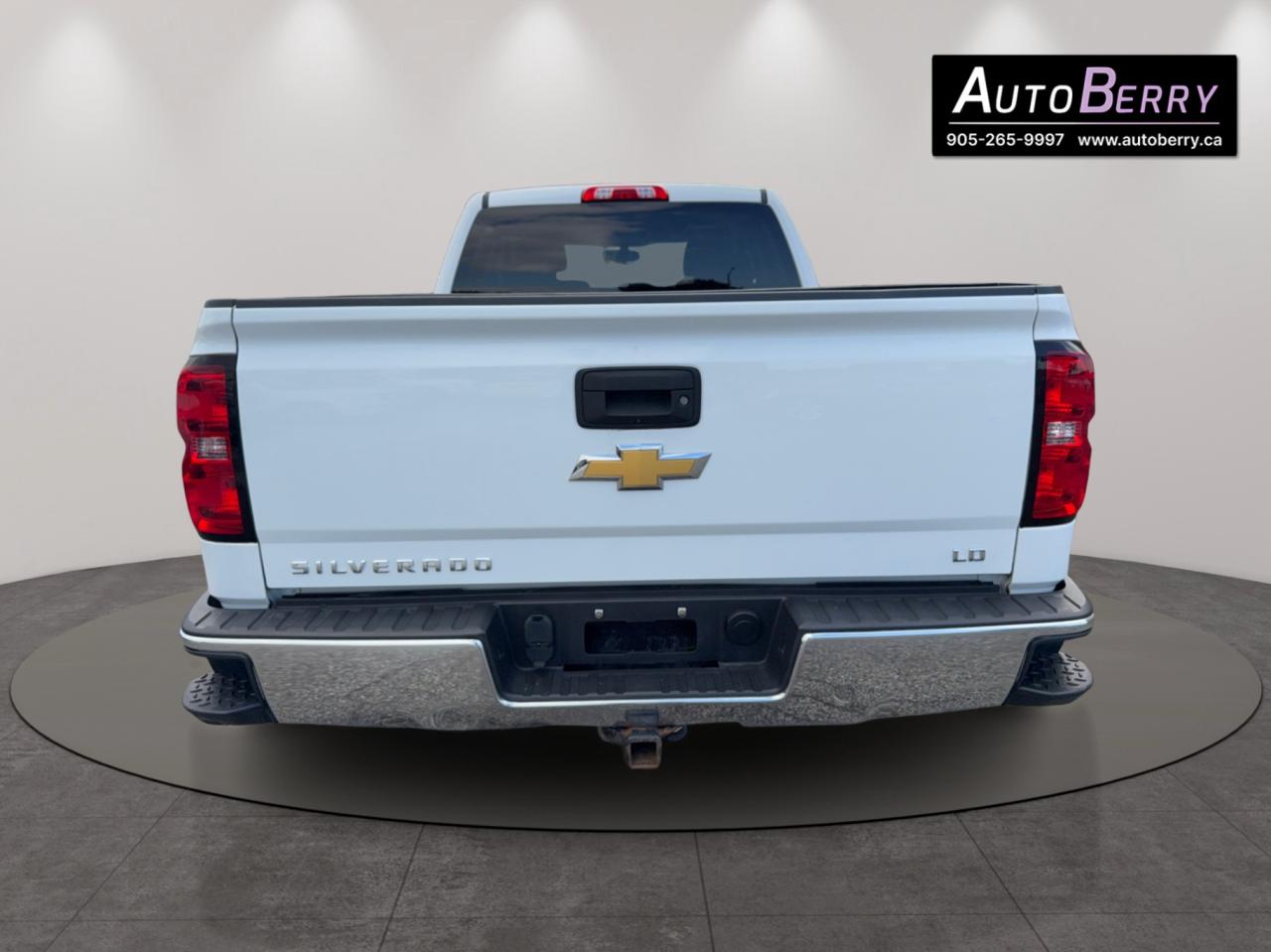 2019 Chevrolet Silverado 1500 4WD Double Cab LT w/1LT Photo