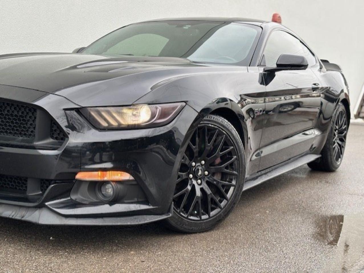 2017 Ford Mustang FASTBACK **GT-6 SPEED MANUAL-BREMBO BRAKES** Photo