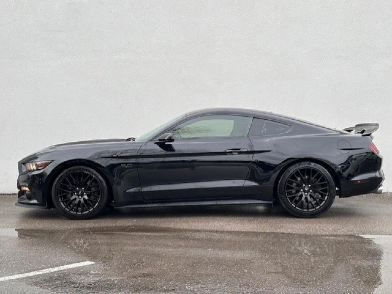 2017 Ford Mustang FASTBACK **GT-6 SPEED MANUAL-BREMBO BRAKES** Photo3