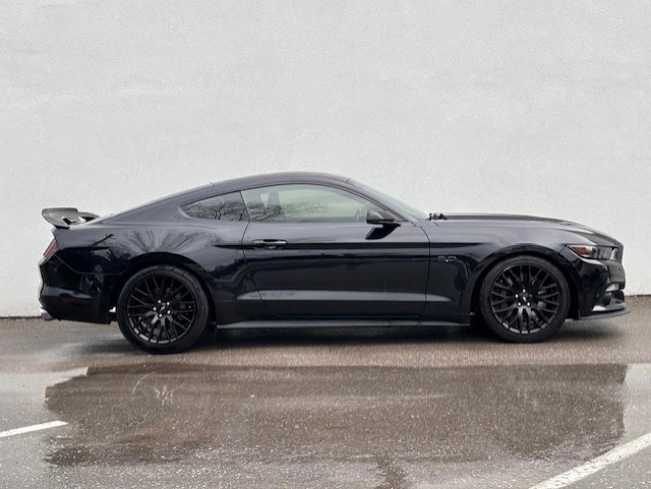 2017 Ford Mustang FASTBACK **GT-6 SPEED MANUAL-BREMBO BRAKES** Photo