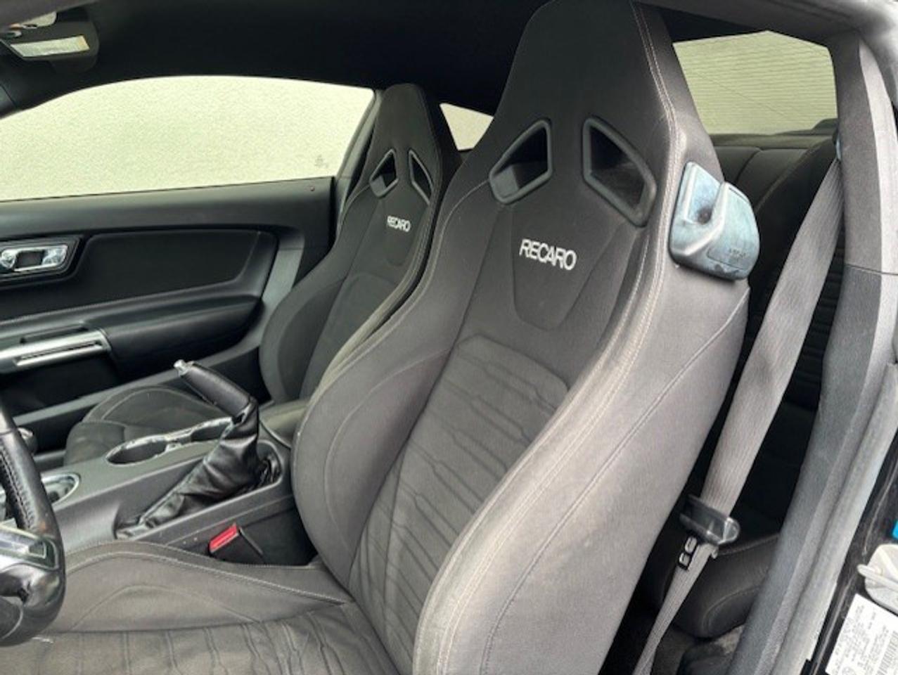 2017 Ford Mustang FASTBACK **GT-6 SPEED MANUAL-BREMBO BRAKES** Photo