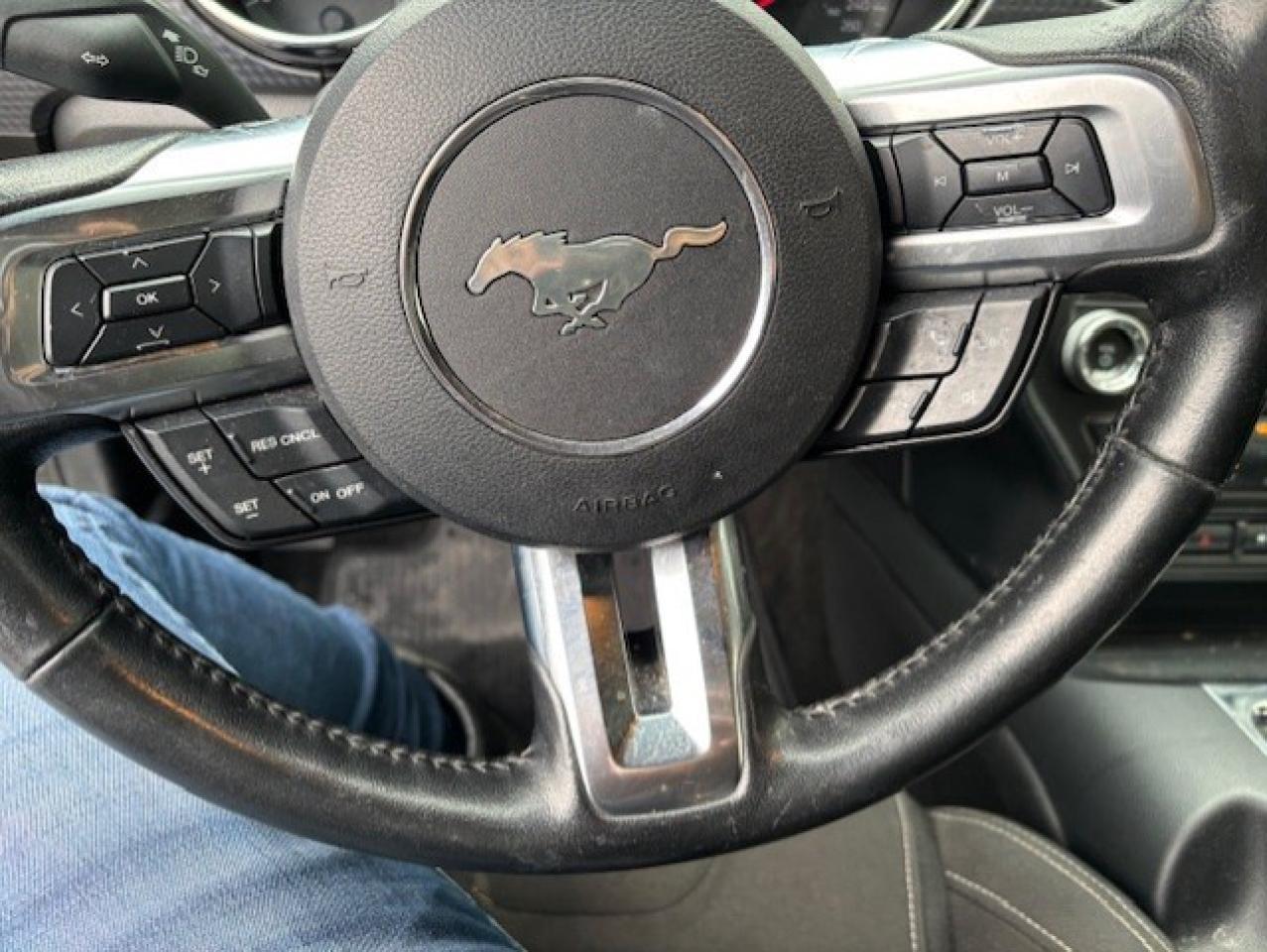 2017 Ford Mustang FASTBACK **GT-6 SPEED MANUAL-BREMBO BRAKES** Photo