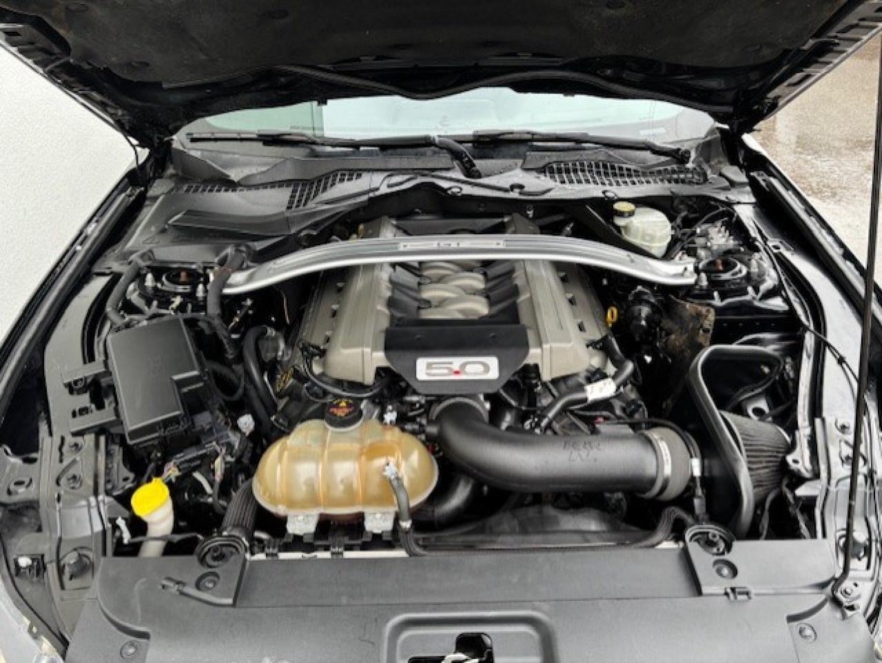 2017 Ford Mustang FASTBACK **GT-6 SPEED MANUAL-BREMBO BRAKES** Photo