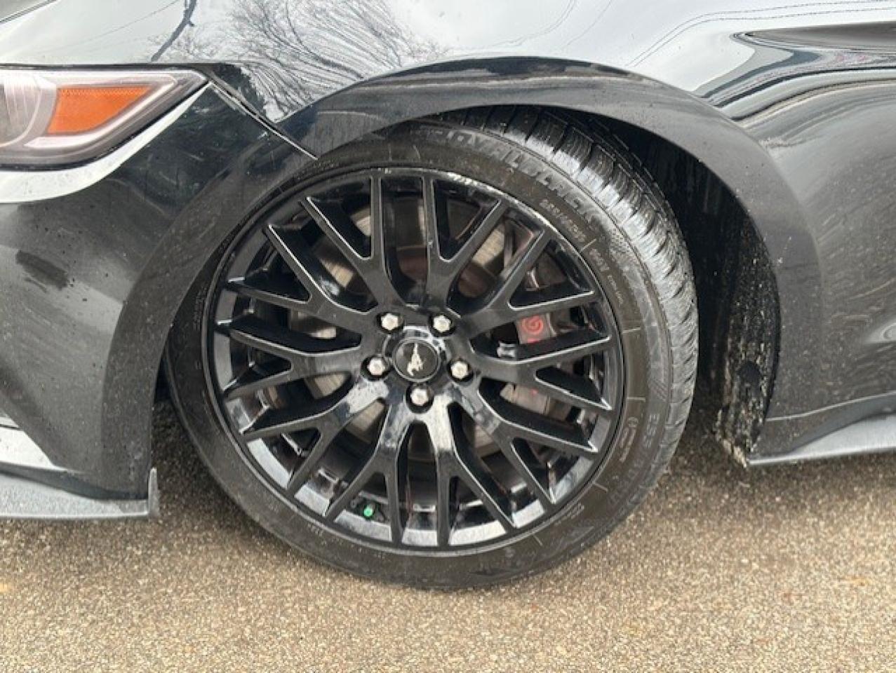 2017 Ford Mustang FASTBACK **GT-6 SPEED MANUAL-BREMBO BRAKES** Photo