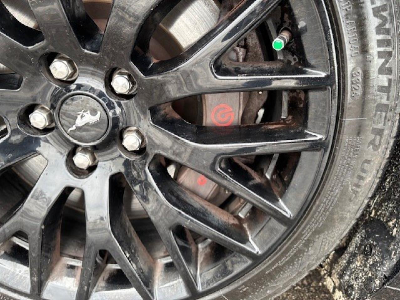 2017 Ford Mustang FASTBACK **GT-6 SPEED MANUAL-BREMBO BRAKES** Photo