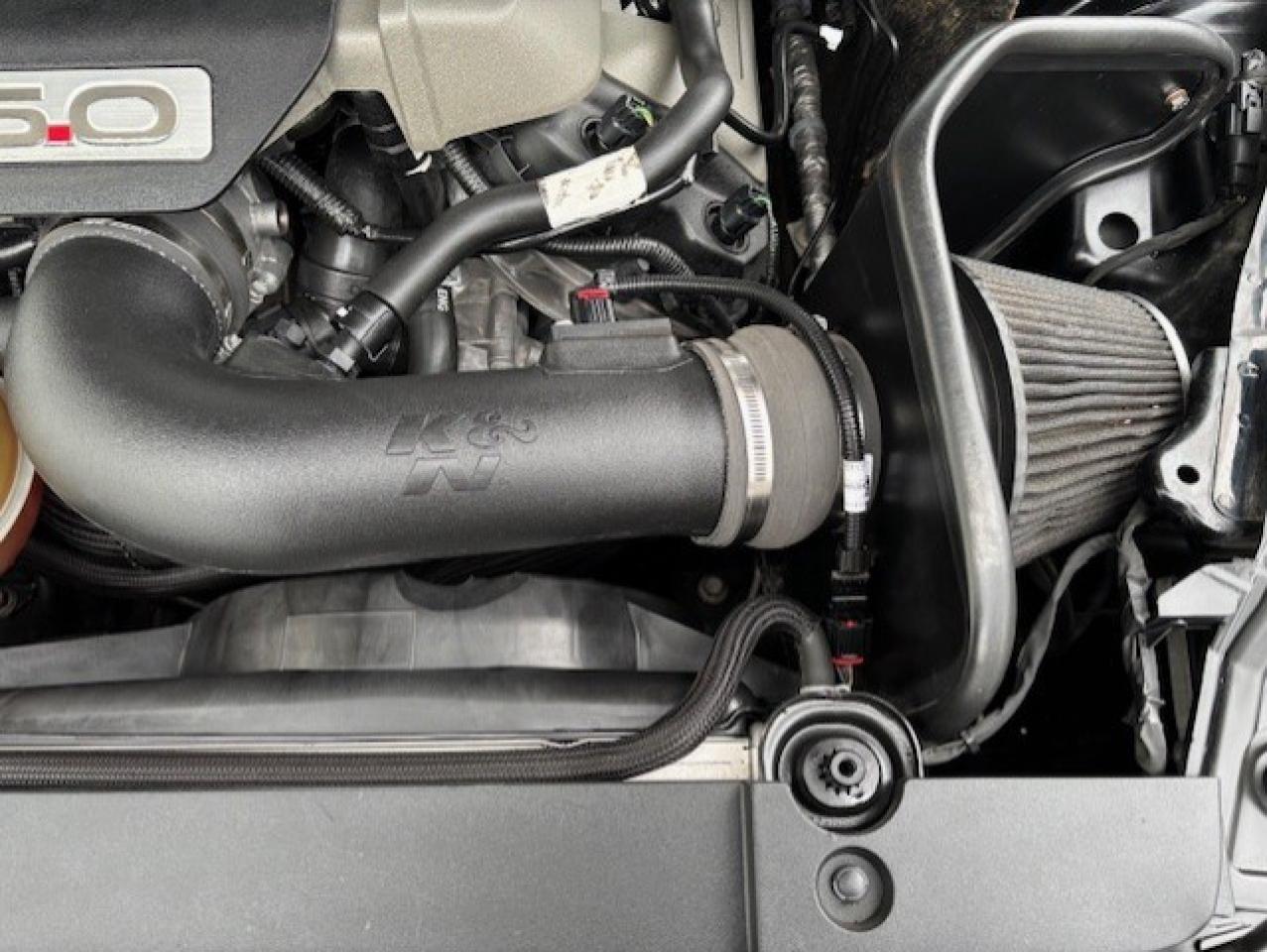 2017 Ford Mustang FASTBACK **GT-6 SPEED MANUAL-BREMBO BRAKES** Photo