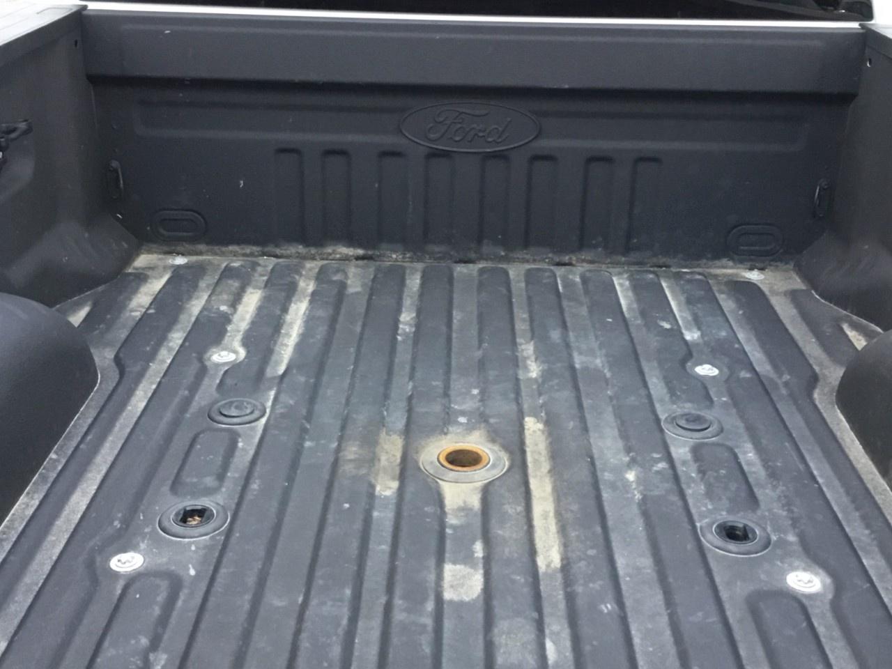 2023 Ford F-250 Super Duty SRW PLATINUM 4WD CREW CAB 6.75' BOX Photo