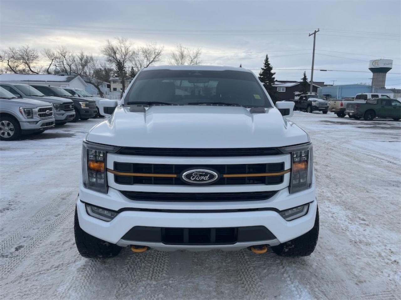 2023 Ford F-150  Photo5