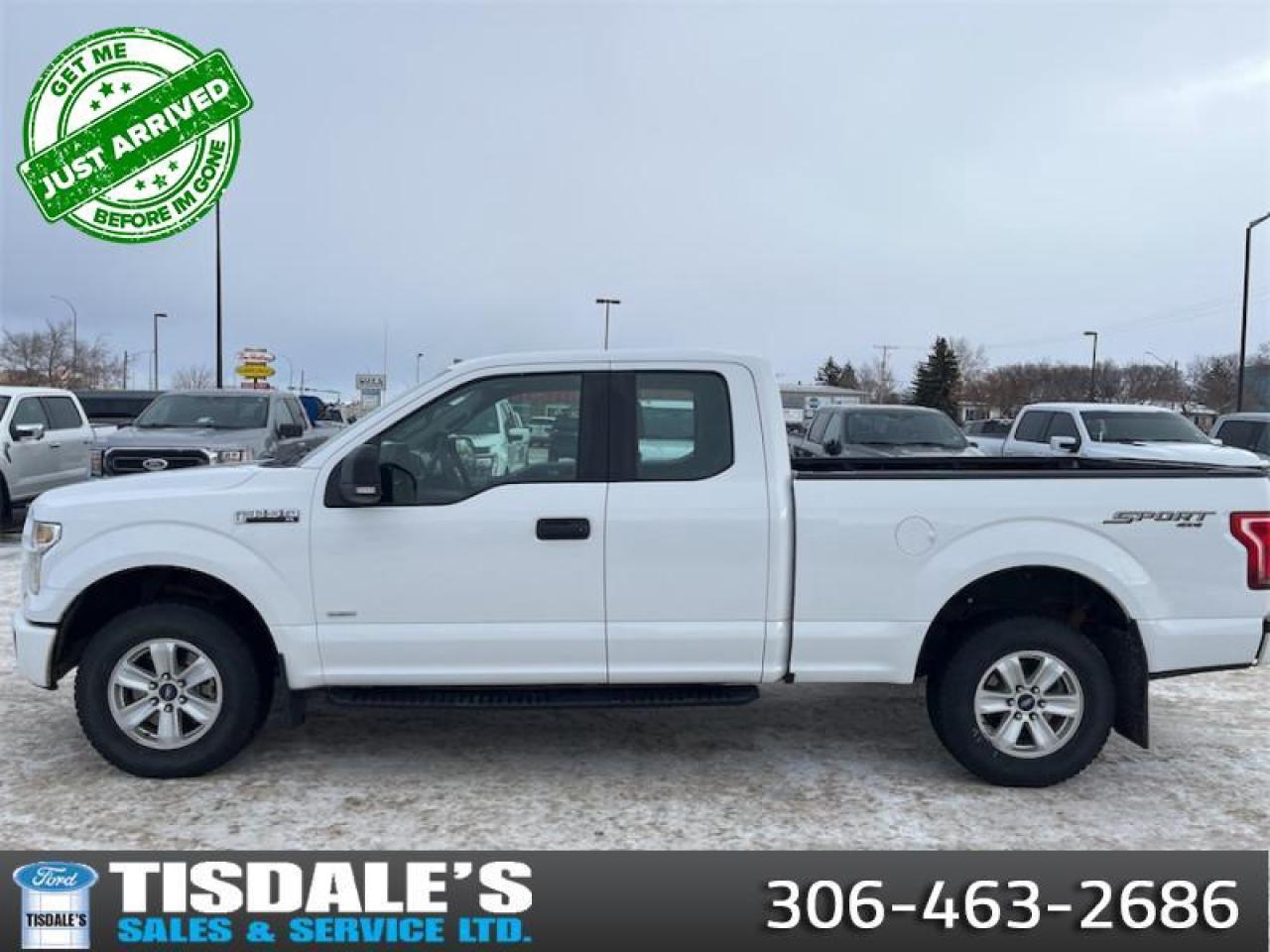 Used 2016 Ford F-150 XLT  - SiriusXM for sale in Kindersley, SK