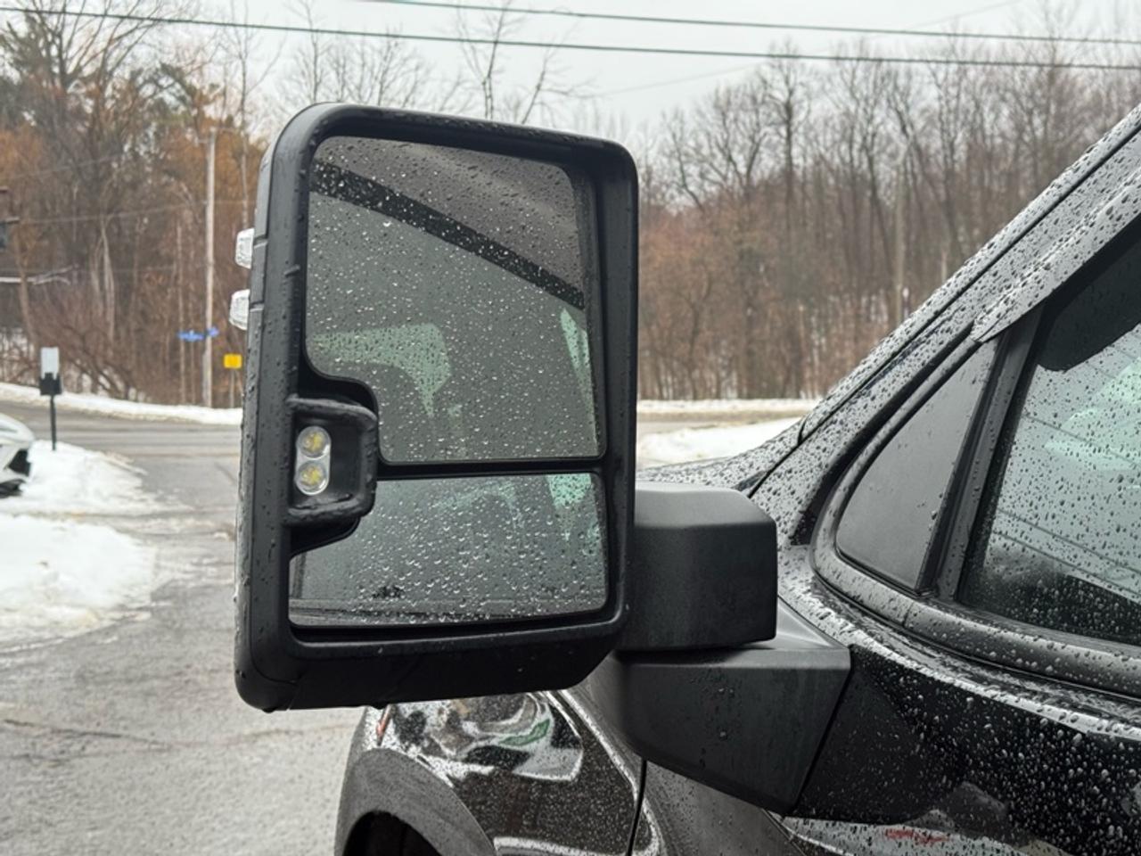 2024 Chevrolet Silverado 1500 RST  - Fog Lights Photo