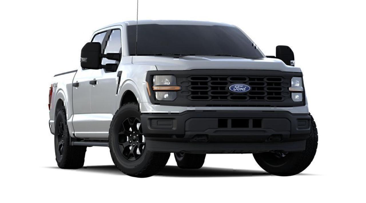 2024 Ford F-150 STX Photo