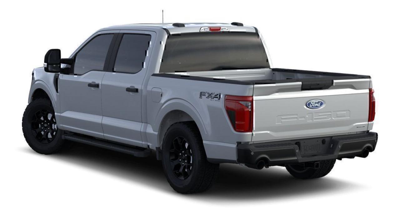 2024 Ford F-150 STX Photo