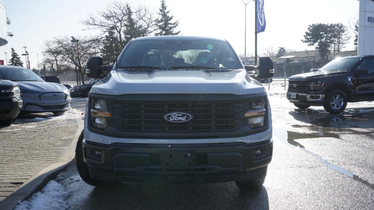 2024 Ford F-150 STX Photo