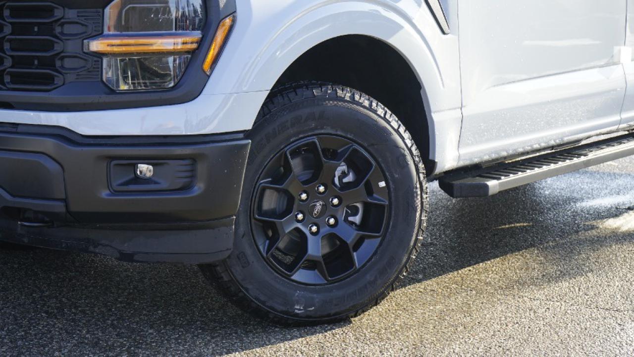 2024 Ford F-150 STX Photo