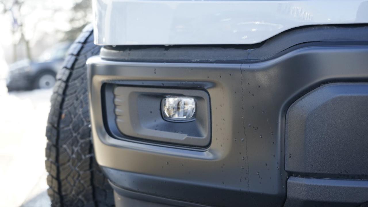 2024 Ford F-150 STX Photo