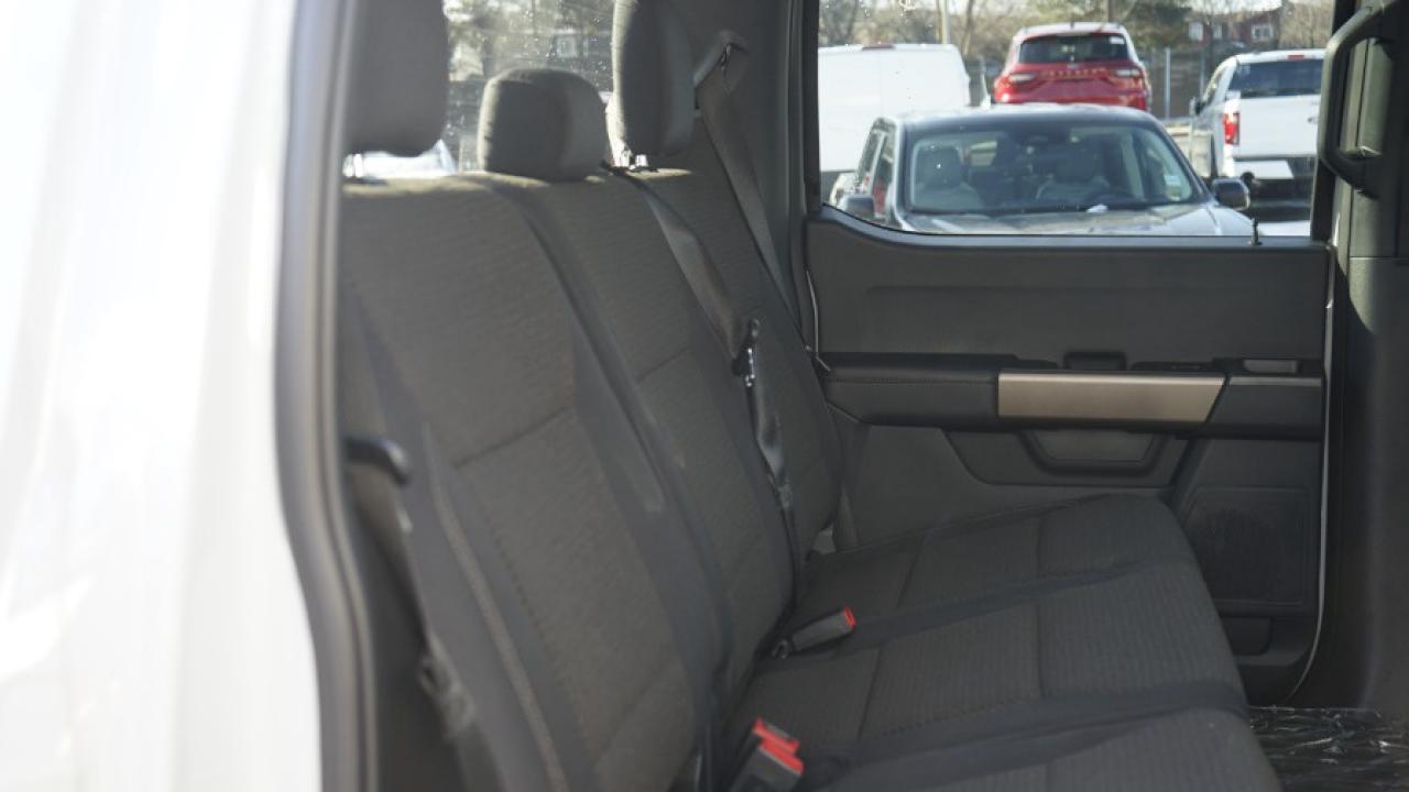 2024 Ford F-150 STX Photo