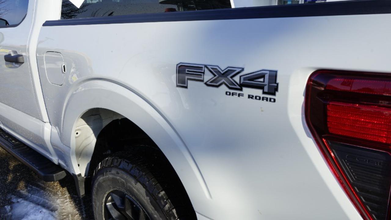 2024 Ford F-150 STX Photo