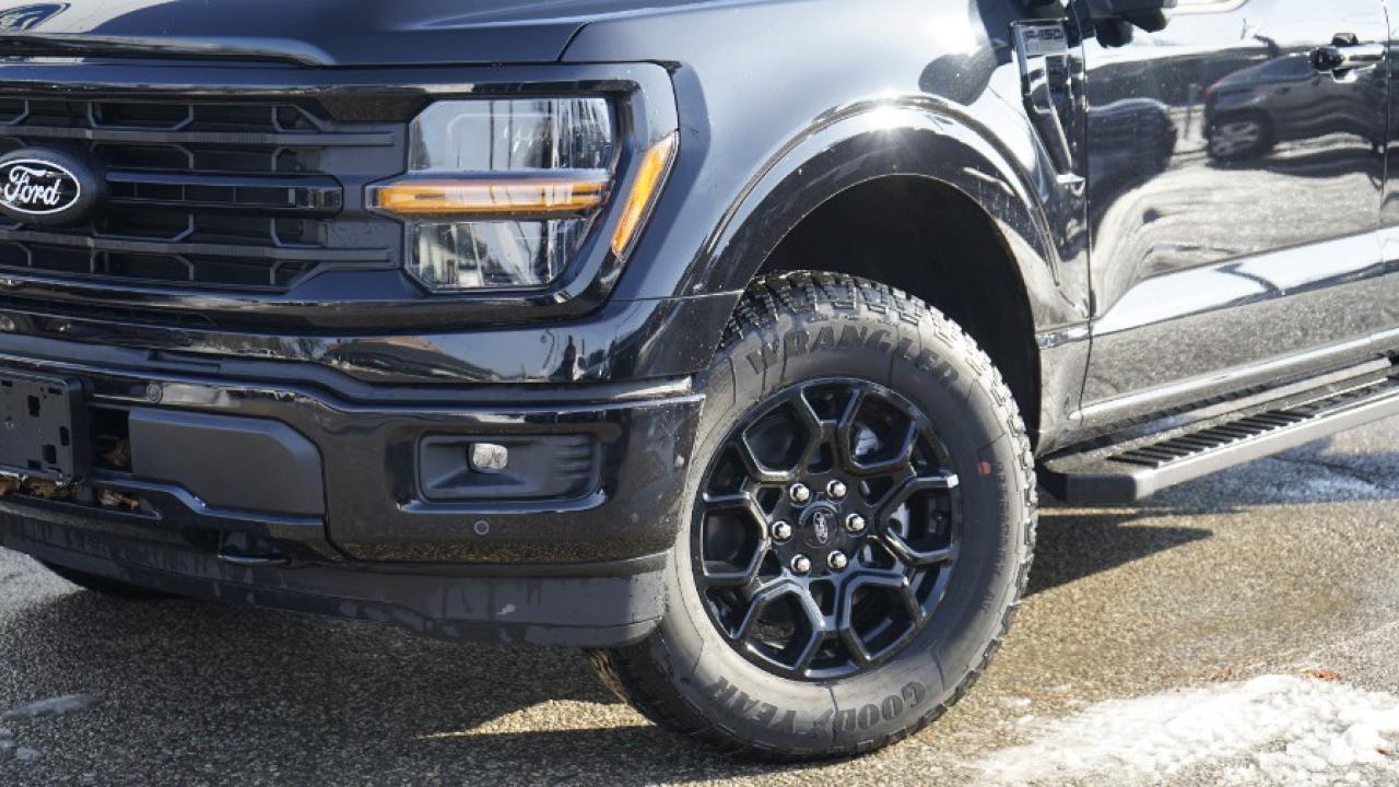 2024 Ford F-150 XLT Photo