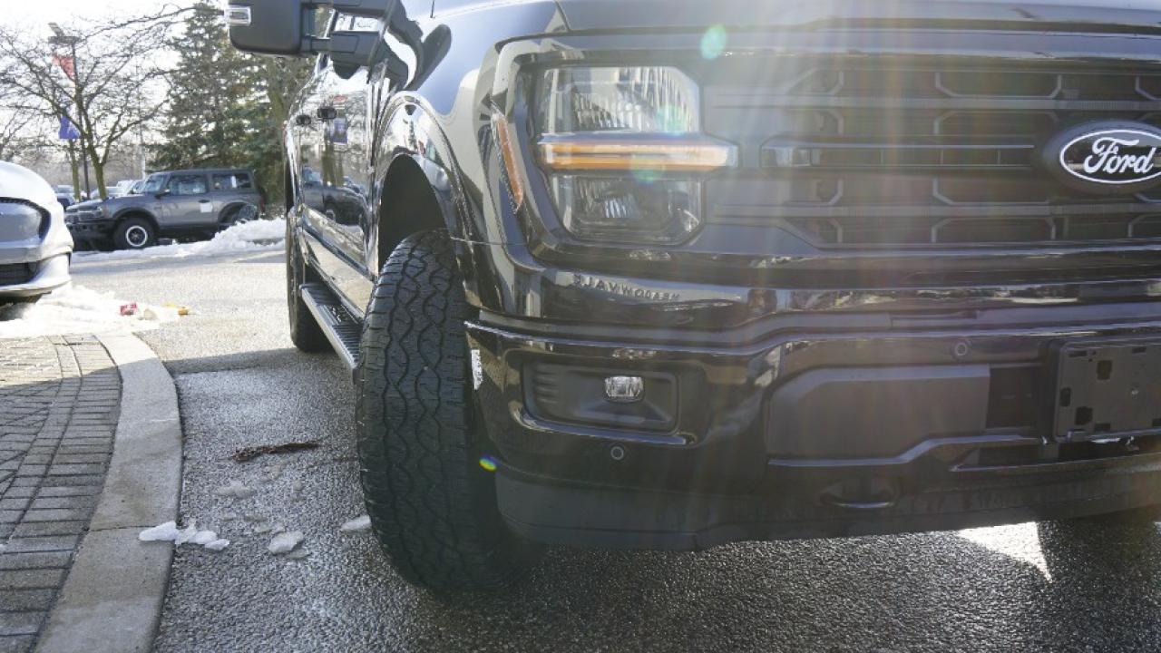 2024 Ford F-150 XLT Photo