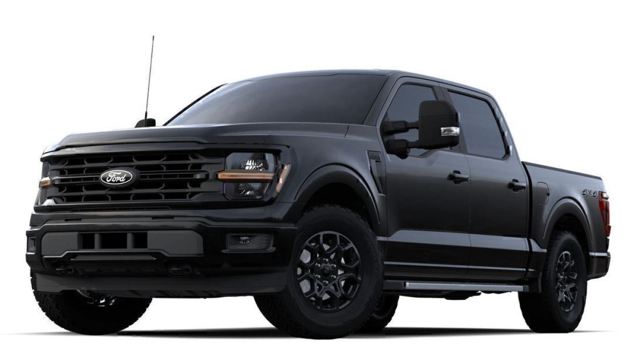 2024 Ford F-150 XLT Photo