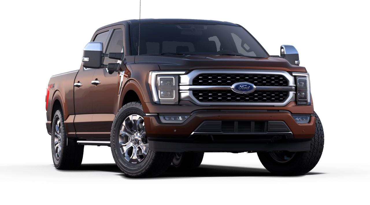 2021 Ford F-150 Supercrew 4x4 PLATINUM 157'WB 3.5L ECOBOOST Photo3