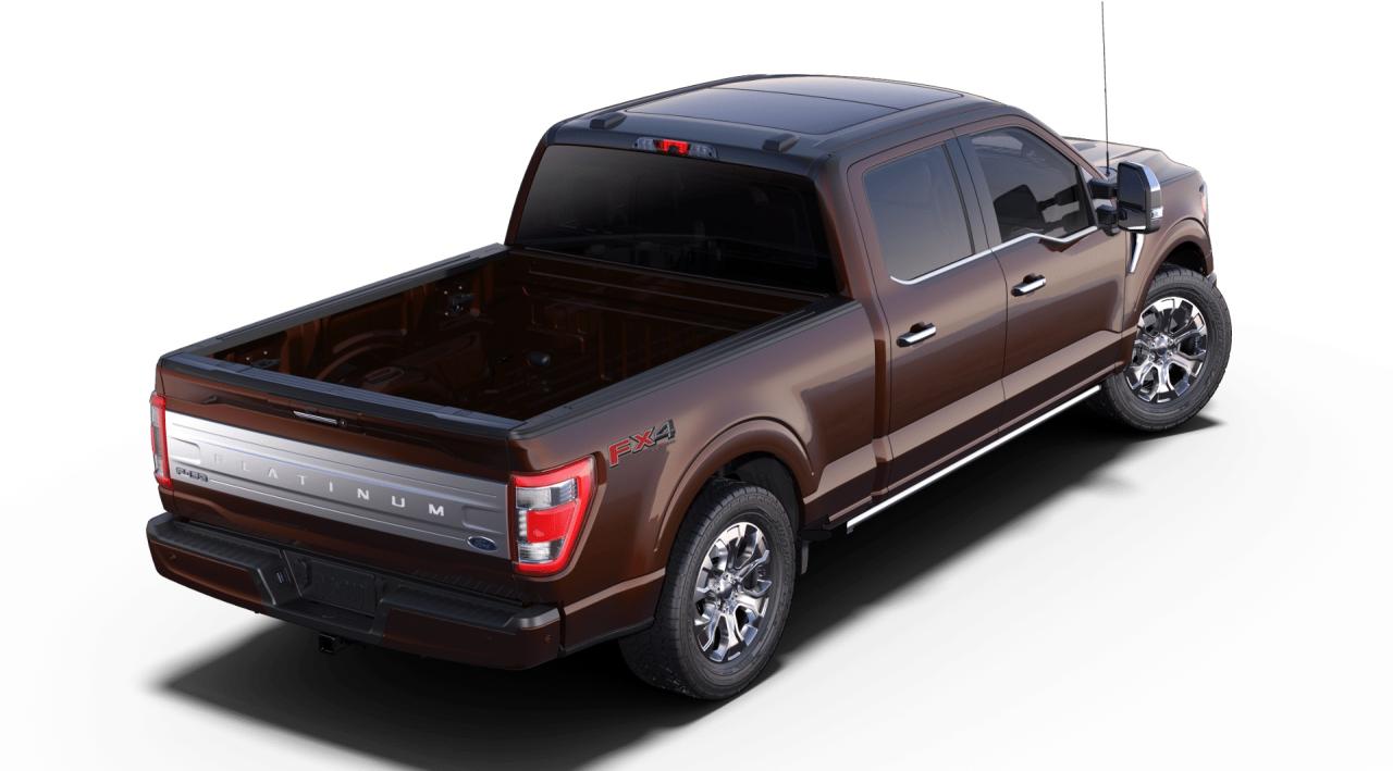 2021 Ford F-150 Supercrew 4x4 PLATINUM 157'WB 3.5L ECOBOOST Photo2