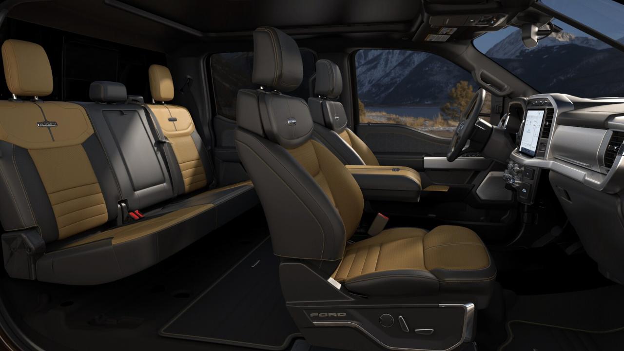 2021 Ford F-150 Supercrew 4x4 PLATINUM 157'WB 3.5L ECOBOOST Photo5