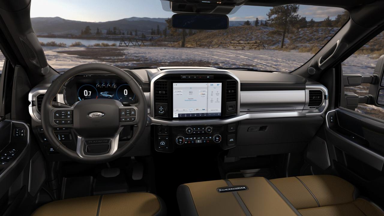 2021 Ford F-150 Supercrew 4x4 PLATINUM 157'WB 3.5L ECOBOOST Photo6