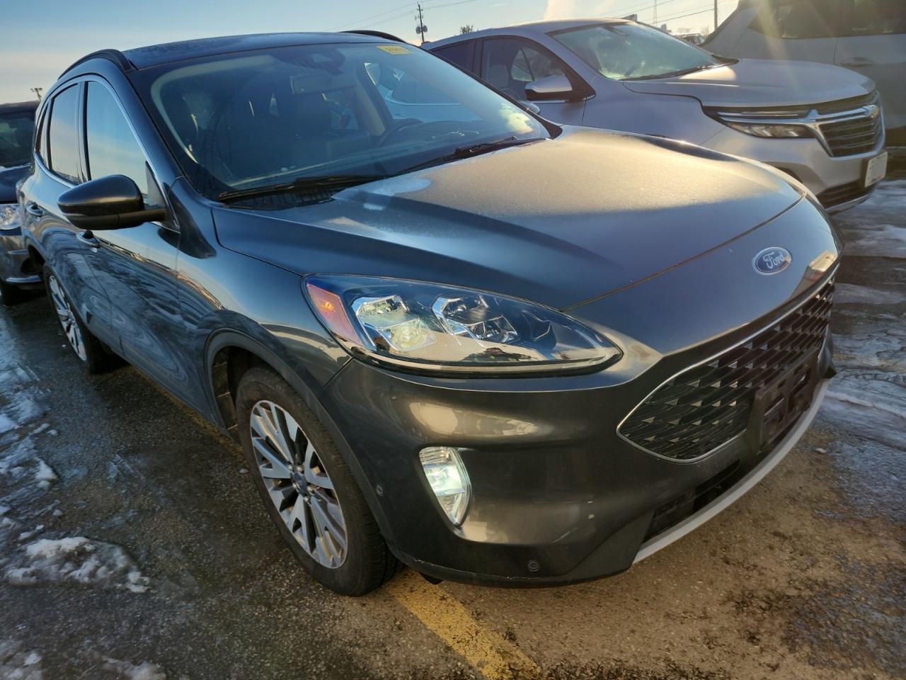 2020 Ford Escape TITANIUM HYBRID | NO ACCIDENTS | FULL SERVICE HISTORY Photo3