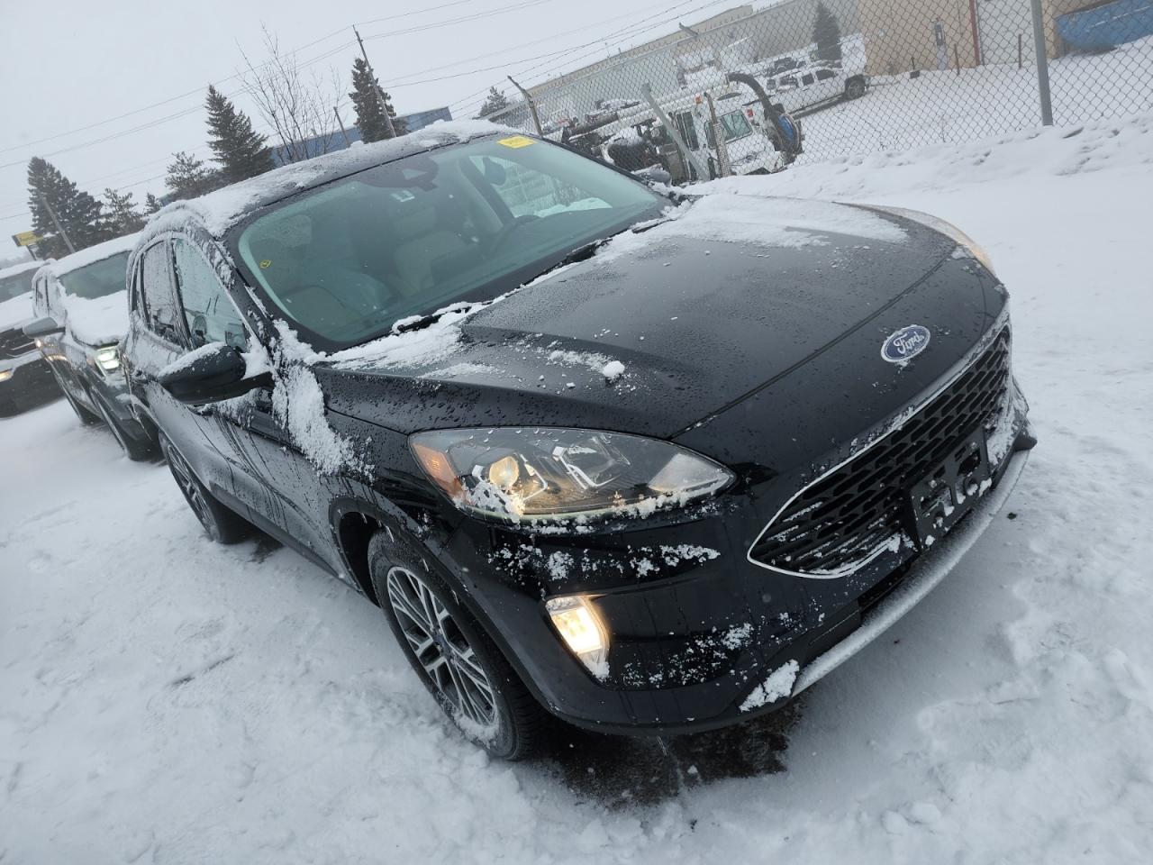 2021 Ford Escape SEL HYBRID | AWD | NO ACCIDENTS | FULL SERVICE HISTORY Photo3